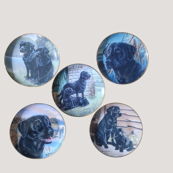 Labrador Retriever Collectible Franklin Mint Decorative Plates Set Of 5 - Picture 14 of 14